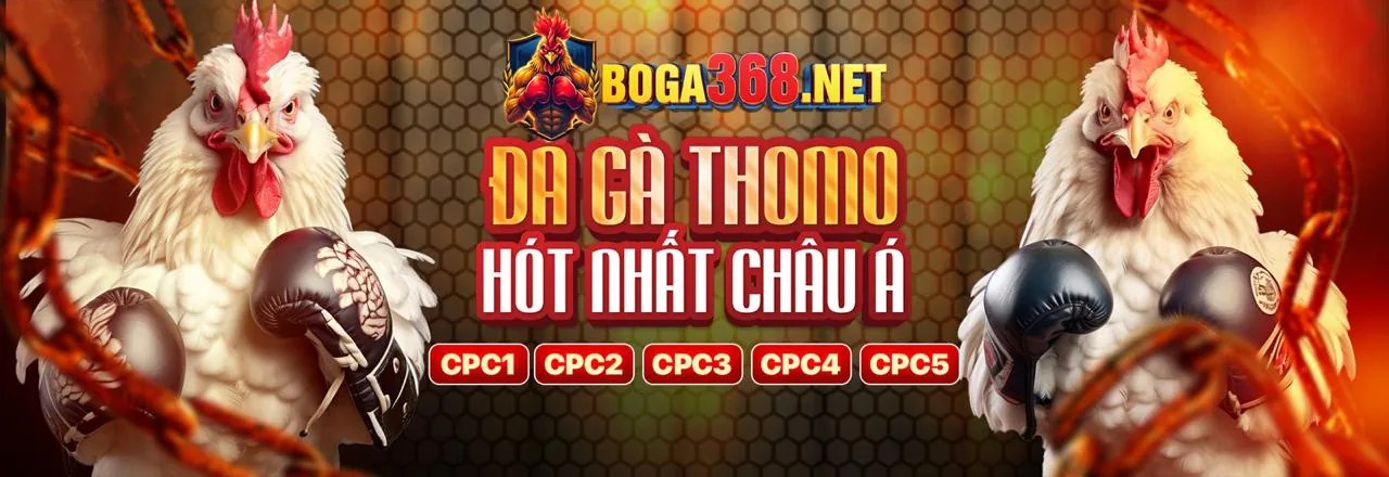 Đá gà kịch tính tại vsbet chính thức